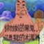 Patrice帕特里克海星