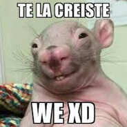 Ⱥའ | Ꝉҽąղ 🌟