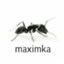 ---BeuMaks---&gt;