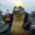 Crackodile
