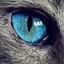 CatEye--