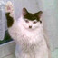 Kitler