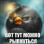 вот тут можно рып