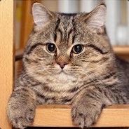 ТЕРЕБОНЬК