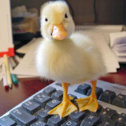 Duck with a keyboard