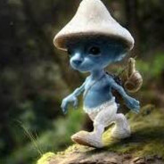 smurf cat