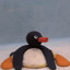 Pingu™'s avatar
