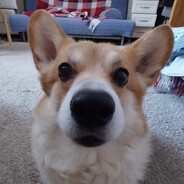 сексинструктор