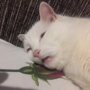 XemBốMàyDiễnNè :>