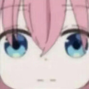 Bocchi