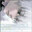 乄 sophi777777