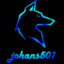 johans501