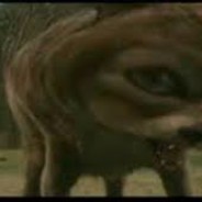 пожилой воуки 2.0