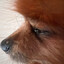 ๖ۣۜTwiX
