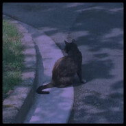 Whispering shadow+w+