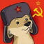 TORONTOVOLOGDA?