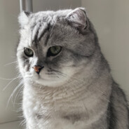 YAMMOゴートパン