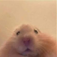 Tun tun tun tun pedur