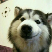 lyljj