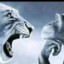 facepublicenemy