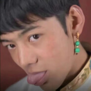 爱玩野牛的丁真