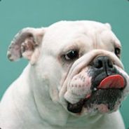 成全了我下个夏天