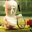 rabbid precoz