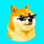 Doge6527
