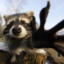 RaccoonSleep
