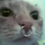 Carl