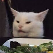 Meowdy
