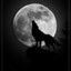 ALONE WOLF