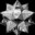 Quartizian Steam avatar