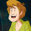 shaggy