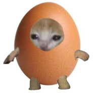 an egg