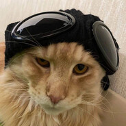 Steam Avatar
