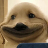 说了别扒拉我！