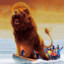 SamWise_J