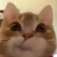 未尝人间肆月酒