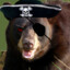ARGHH! I&#039;m Pirate Bear!