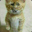 猛犸不上班
