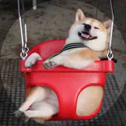 夕阳红合唱团团长