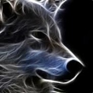TiNo A3yCA avatar
