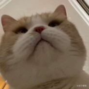 清风徐来梦如蓝