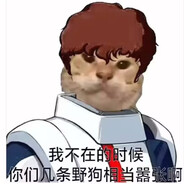 AA专业捕鸭骡师傅