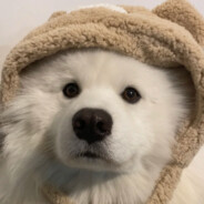 电脑玩家贺兰山