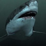 开始我的节奏变得有点乱