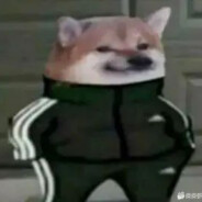 牛子老硬到底咋回事