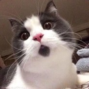 今天你白嫖了么？