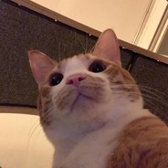 紫色别他妈在那断了我